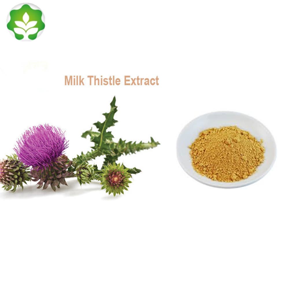 purifier blessed milkthistle powder extract p_e